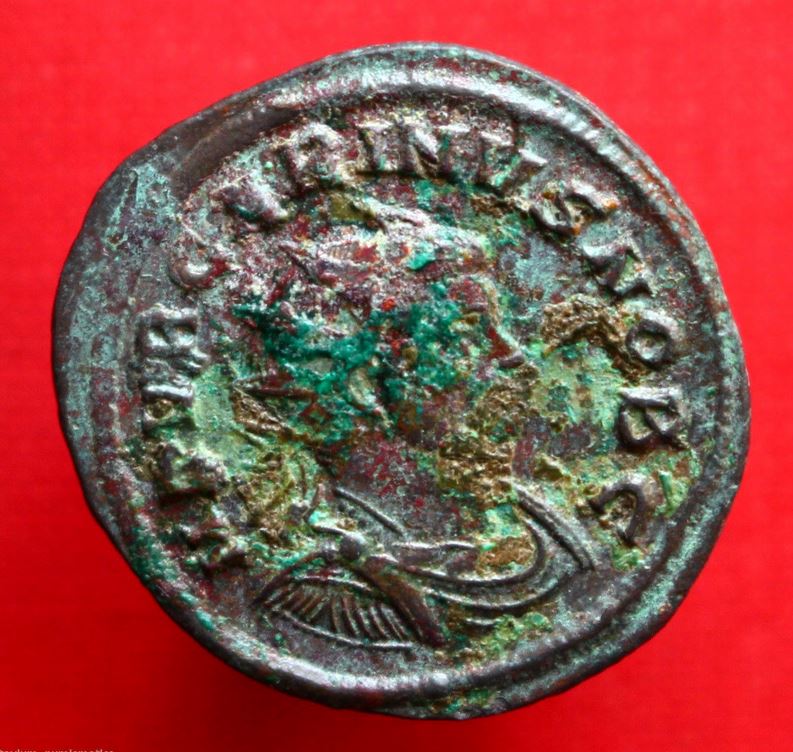 carinus obv.JPG