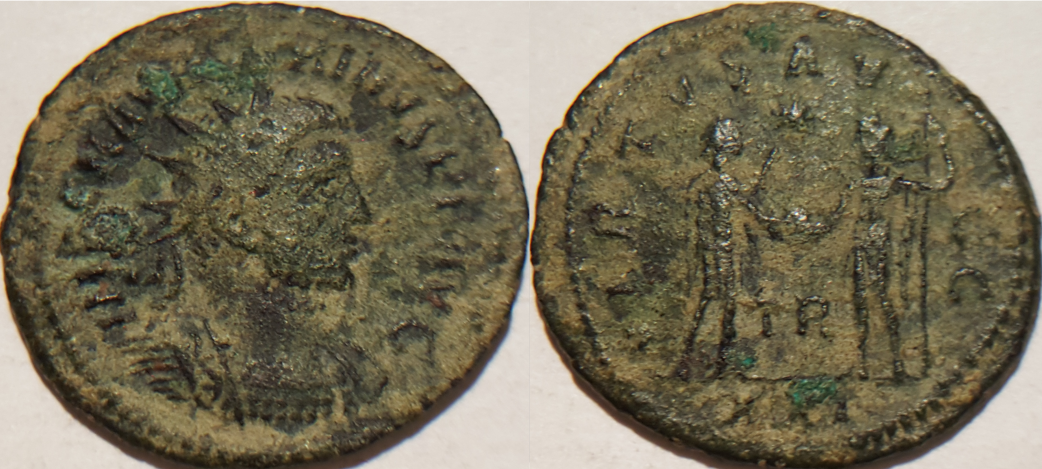 Carinus.png