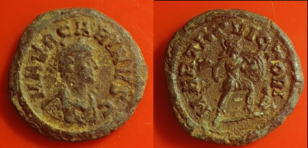 Carinus Quin 2.jpg