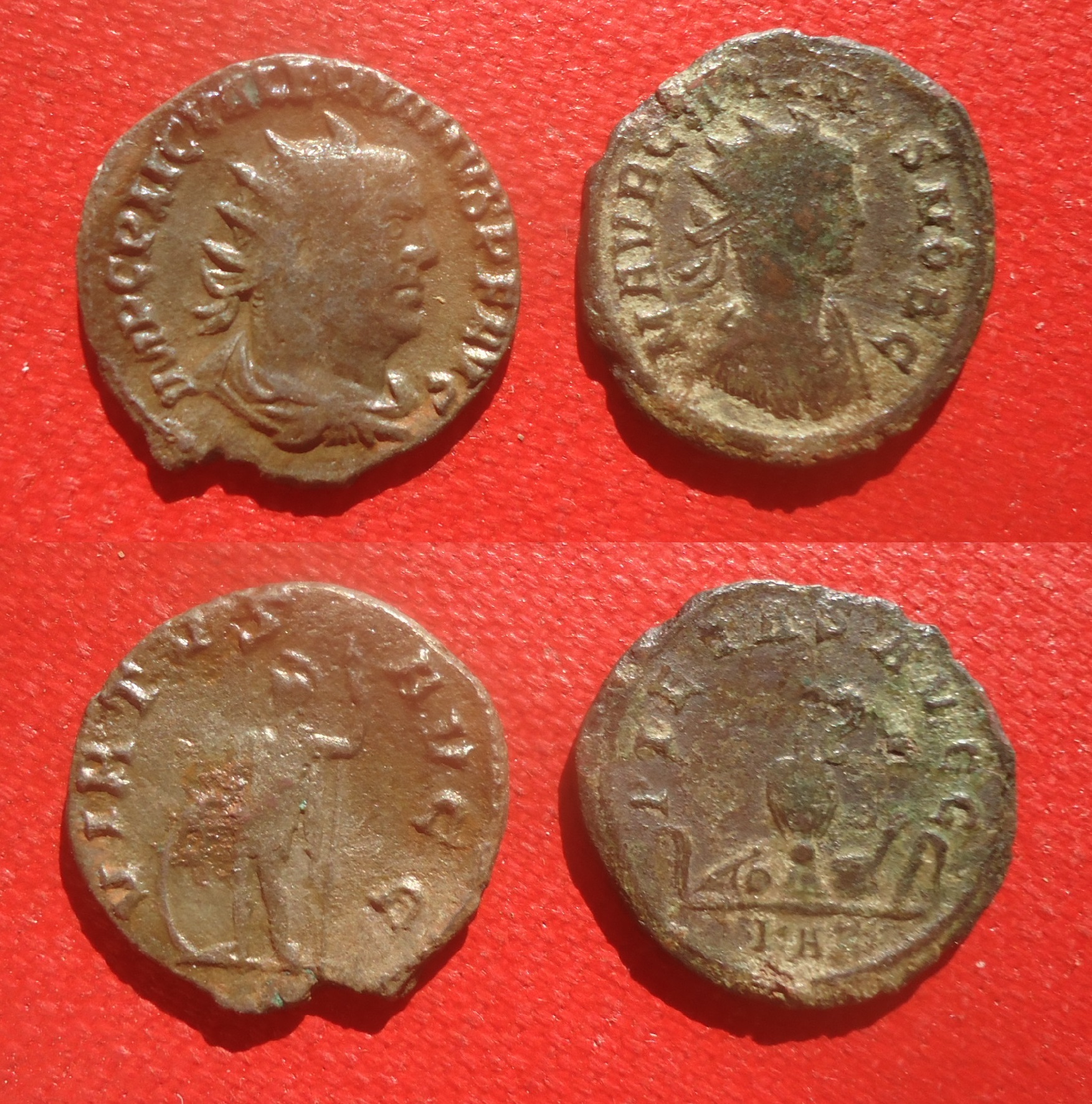 Carinus & Valerian 2 Sep 2021 (0).jpg