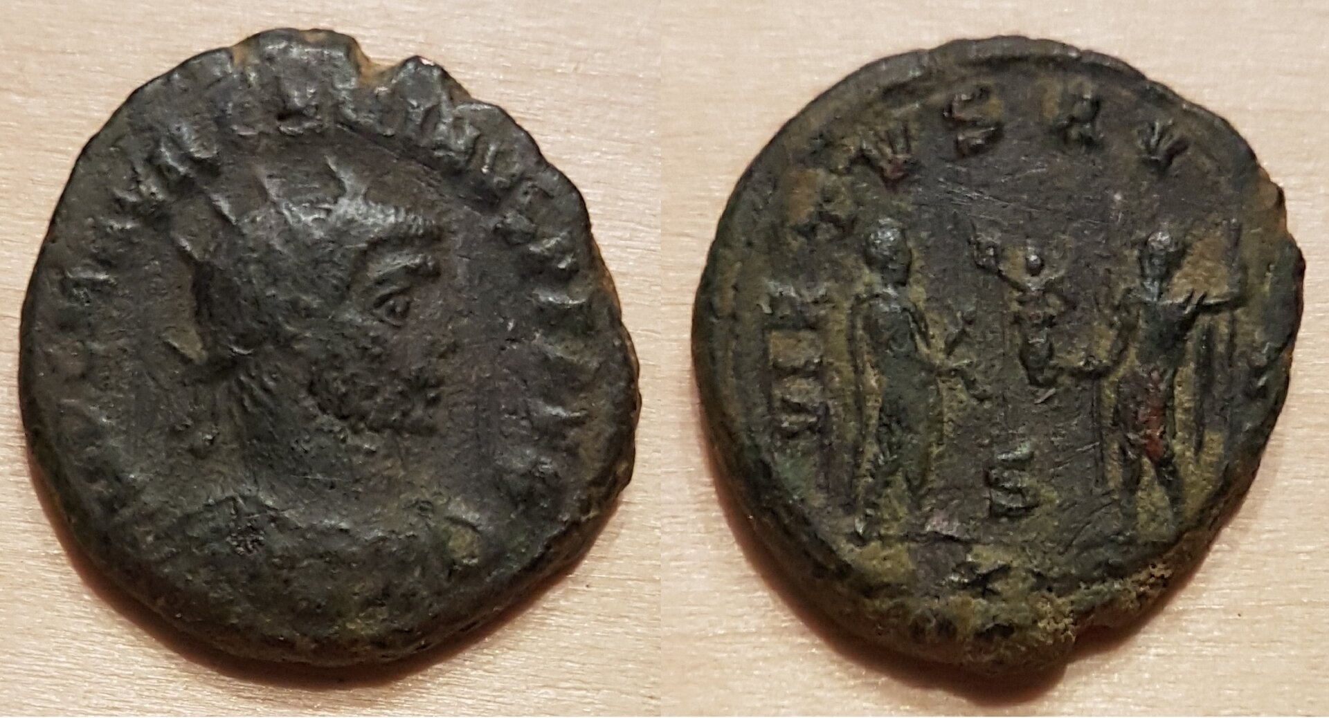 carinus1.jpg