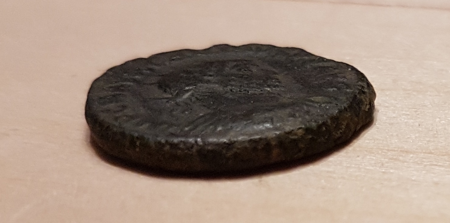 carinus1-side.jpg