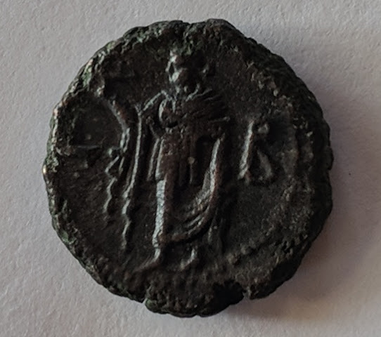carinus2.jpg