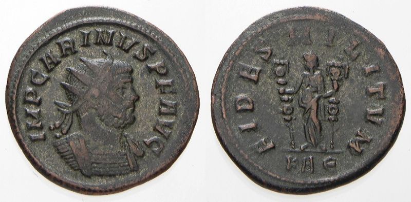 Carinus2_opt.jpg