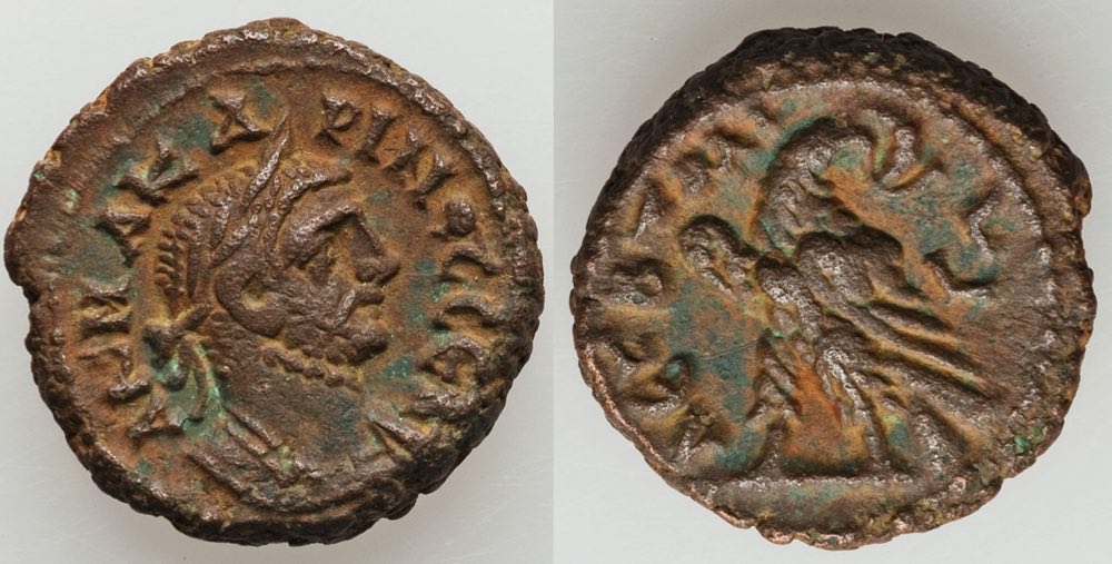 Carinus5AlexandriaLEGBTRAI2008.jpg