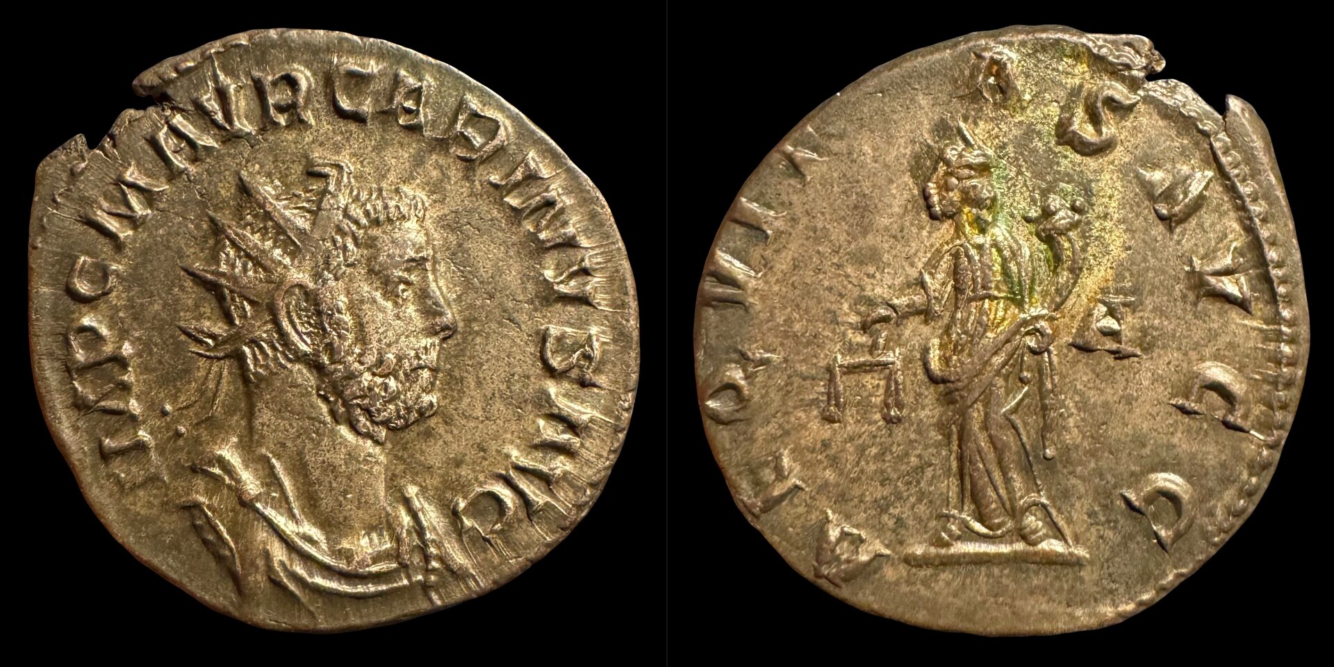 CarinusLyonsRICV-2-212.JPG