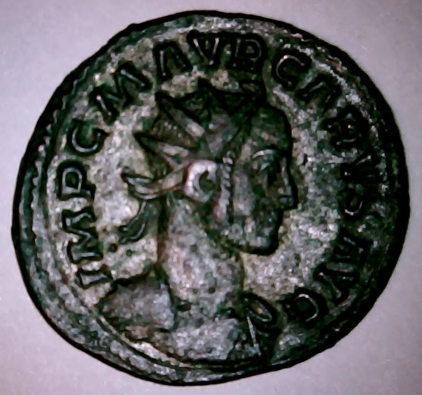 carnus (2).jpg