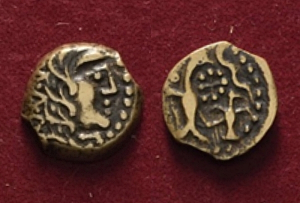 Carnutes1-side.jpg