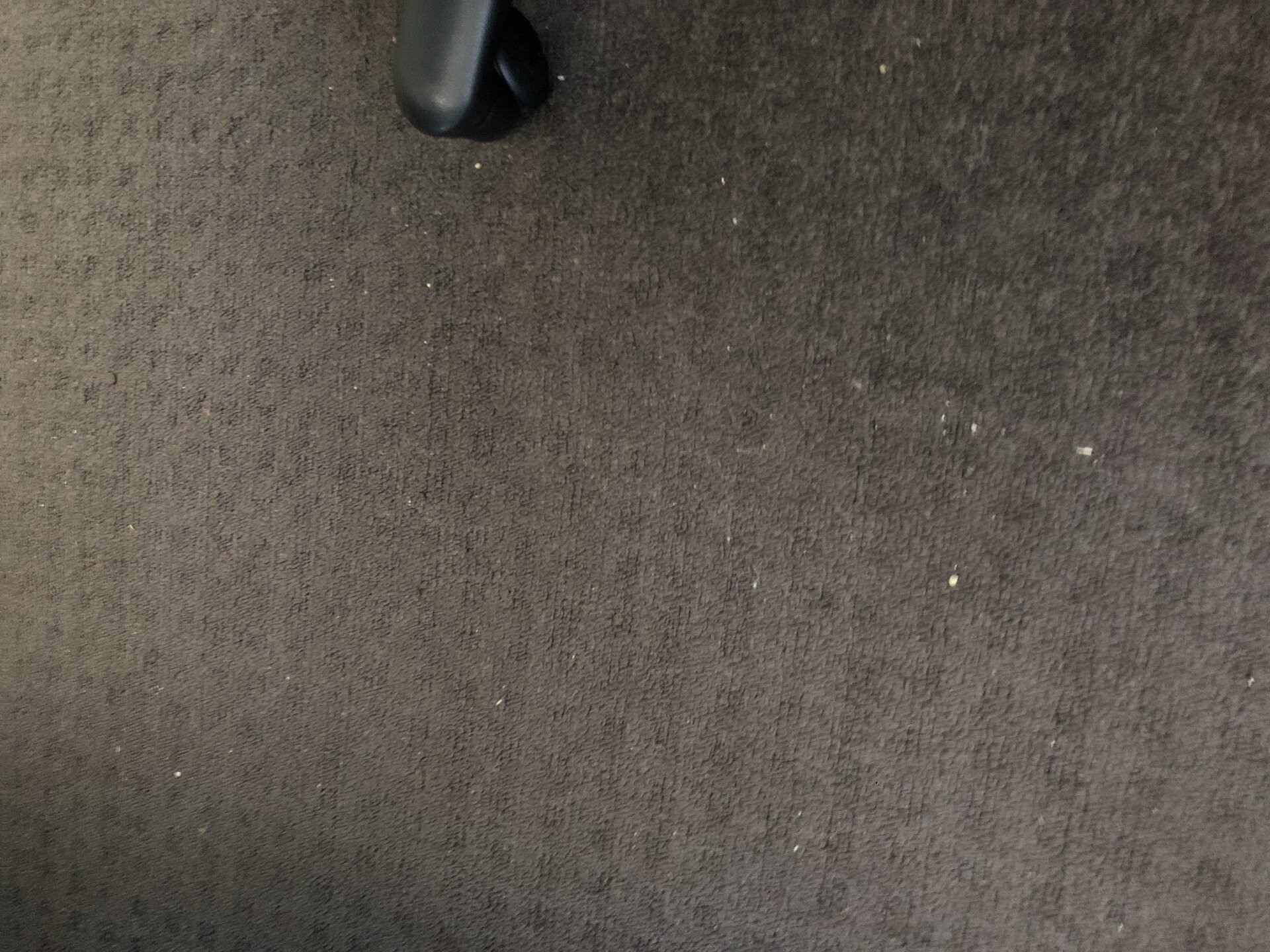 carpet.jpg