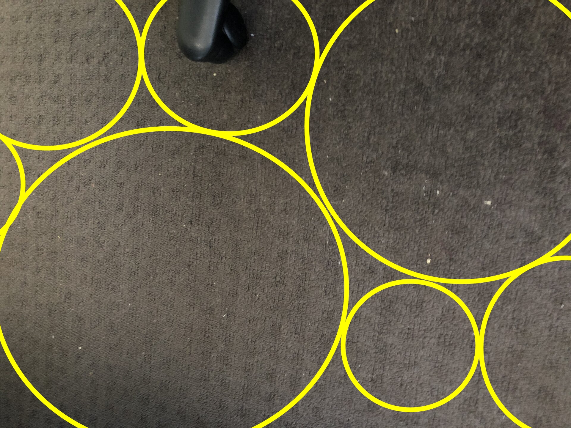 carpet.jpg