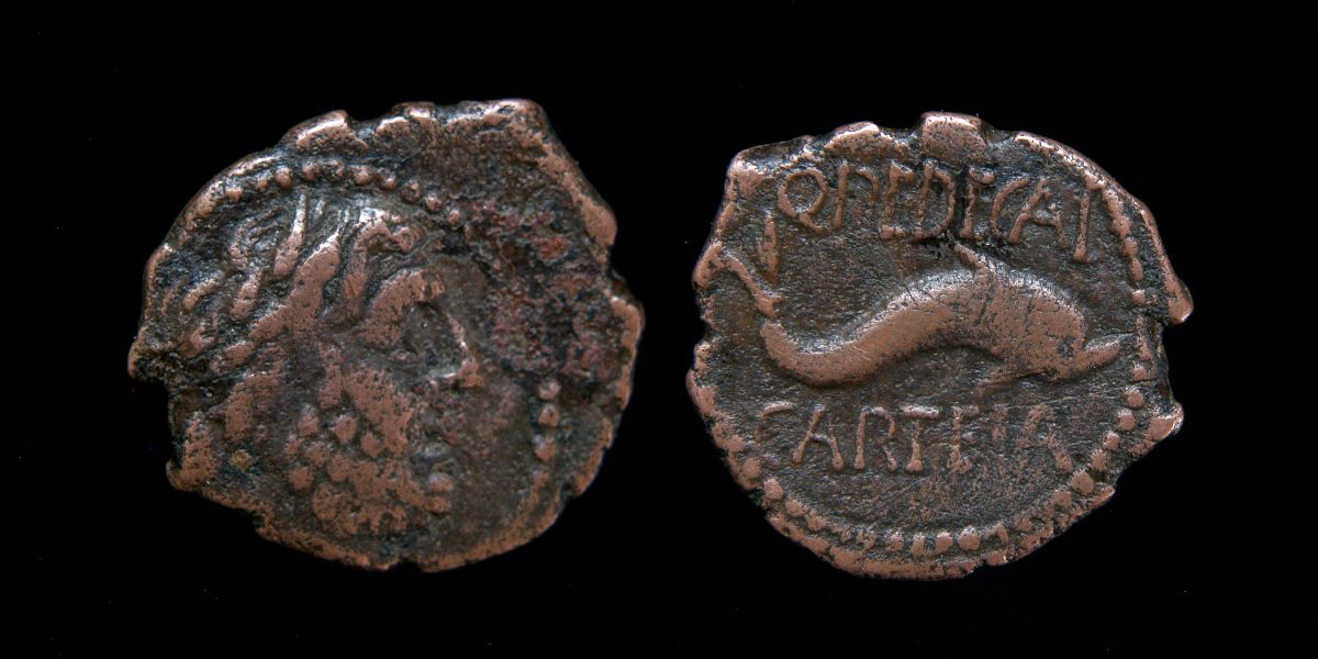 Carteia Q.PEDECAI 2.jpg