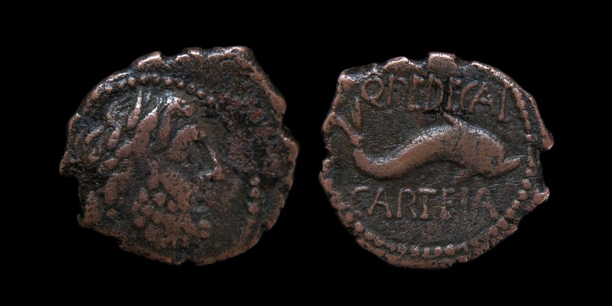 Carteia Q.PEDECAI.jpg