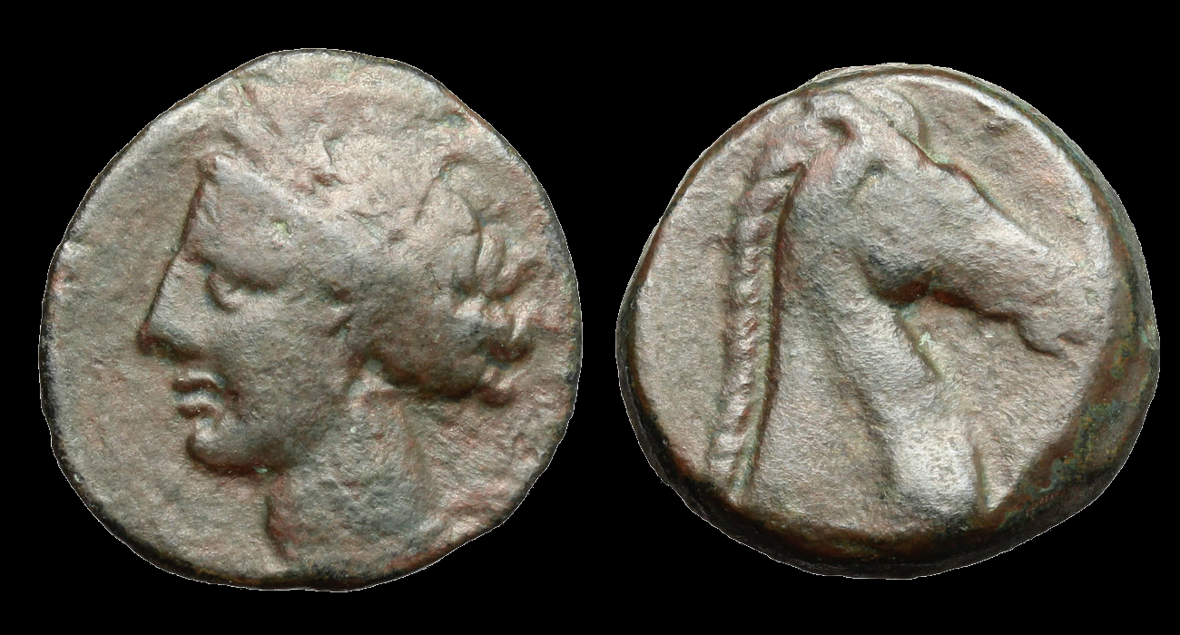 Carthage – Punic Sicily, AE Tanit:horse head 2.png