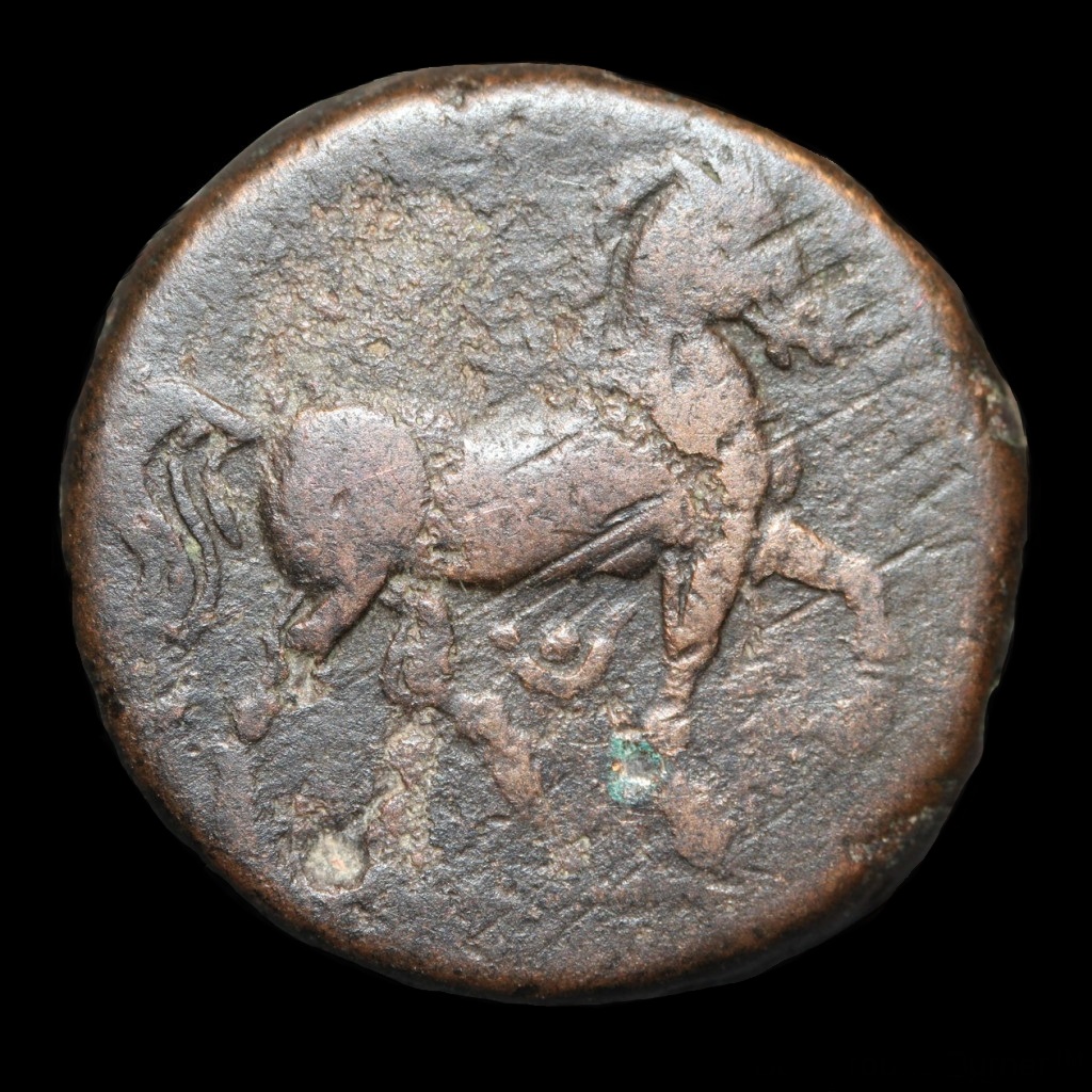 Carthage 20140005 rev.jpg