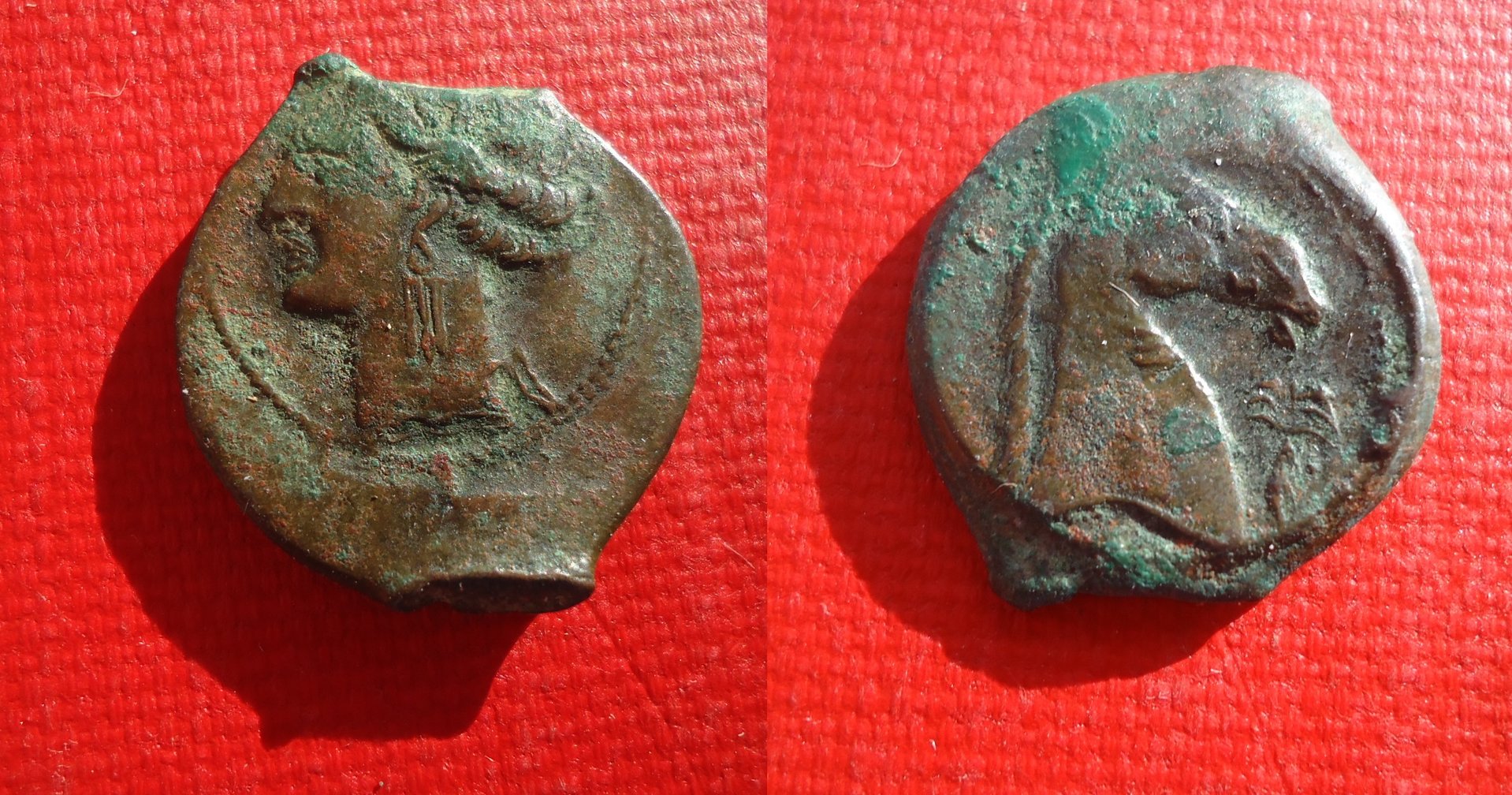 Carthage - AE horse head Oct 2018 (0).jpg