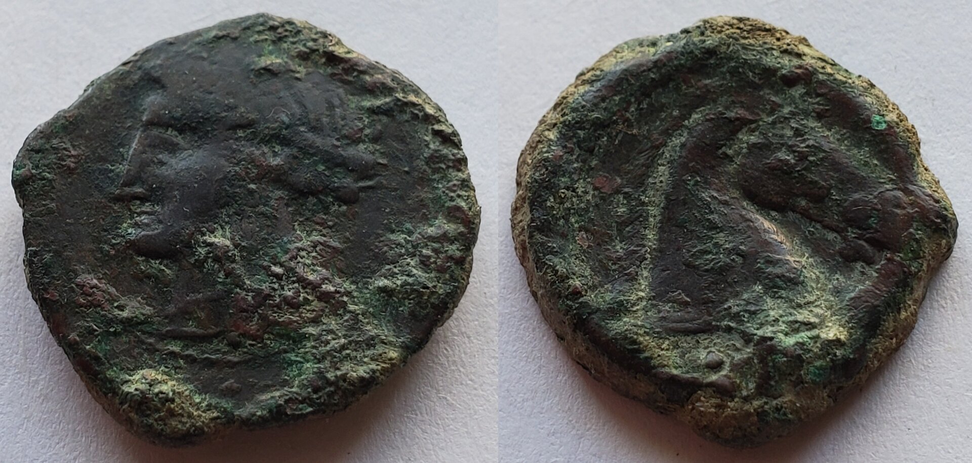 Carthage AE19 300-264 BC Head of Tanit head of horse.jpg