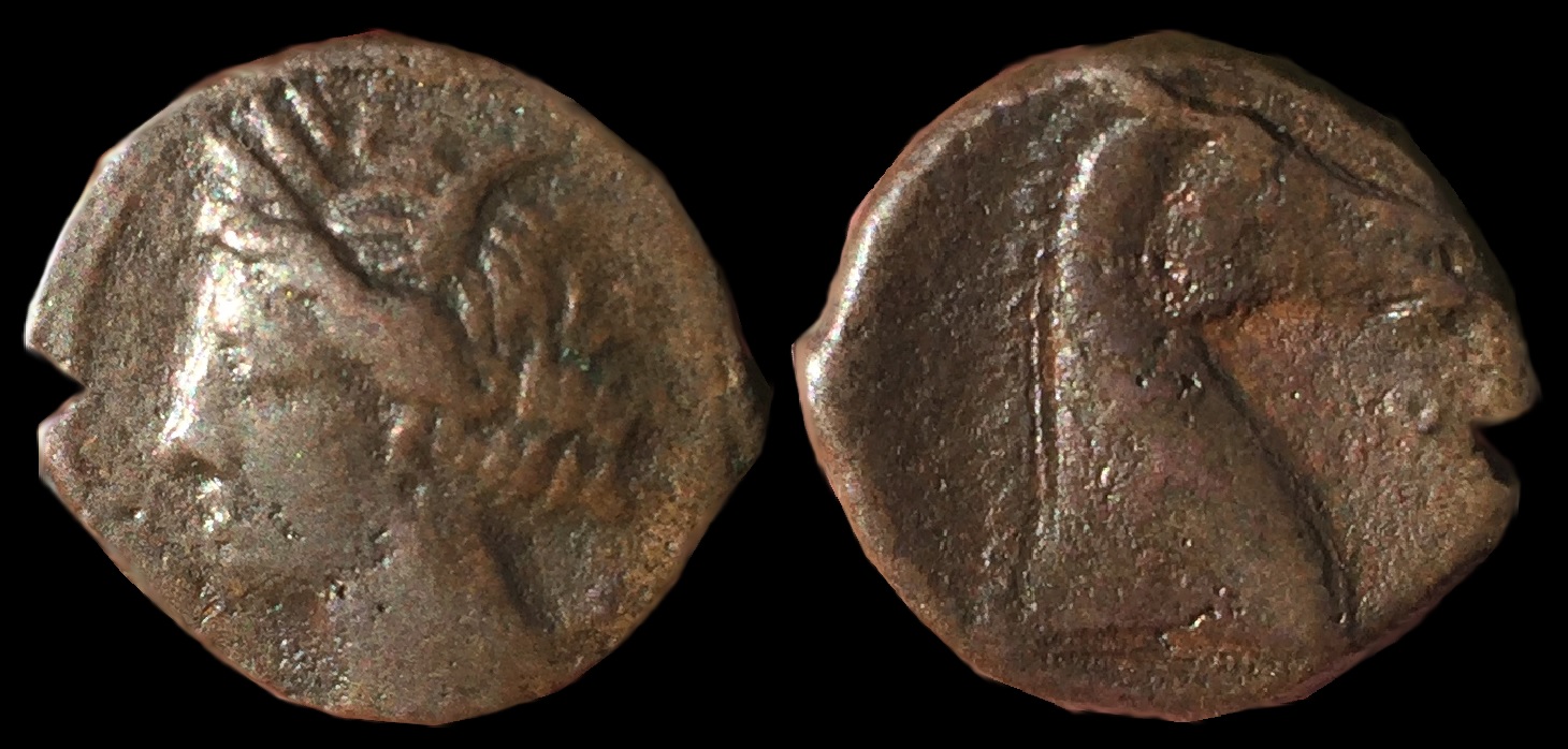 Carthage AE19.jpg