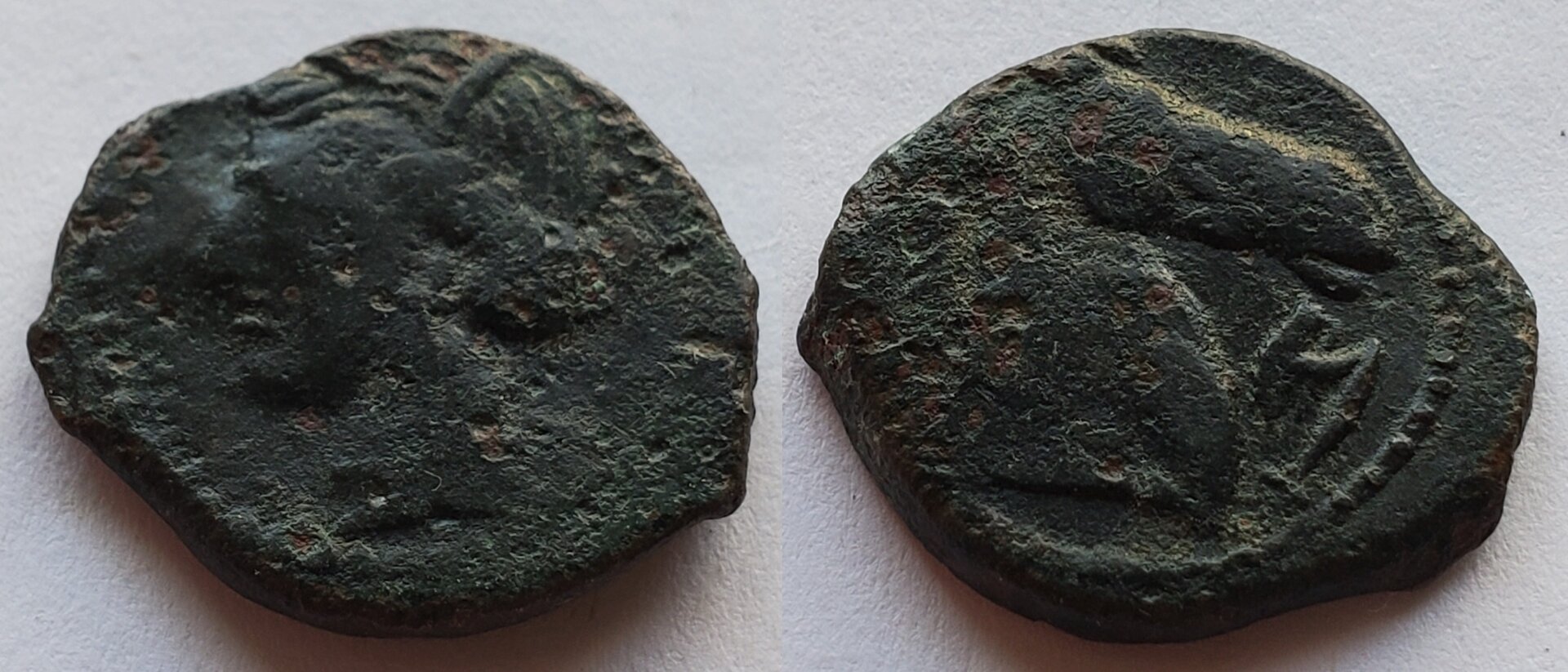 Carthage AE20 300-264BC Tanit Horse punic M.jpg