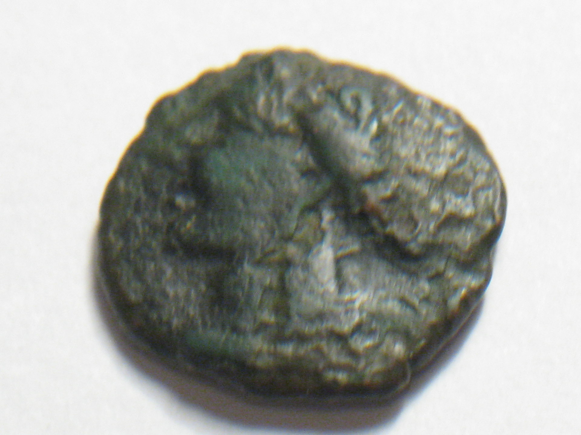 carthage coin  serpent coin 003.JPG
