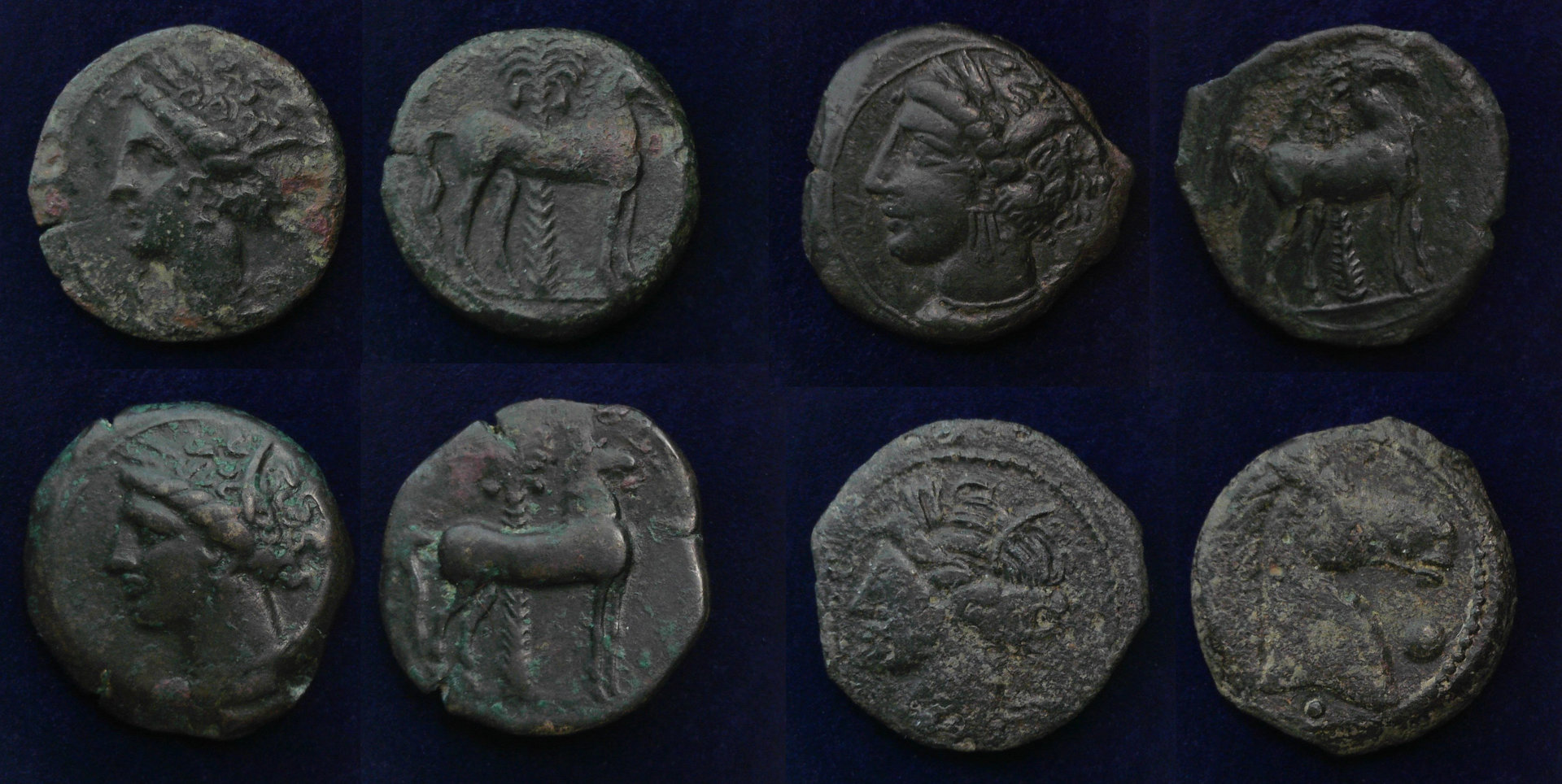Carthage Display.jpg