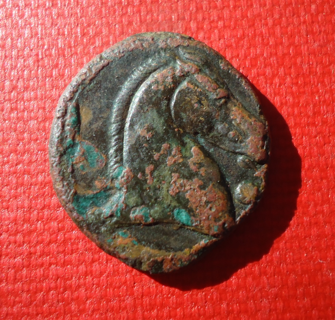 Carthage Horse Head Sep 18 (9).JPG