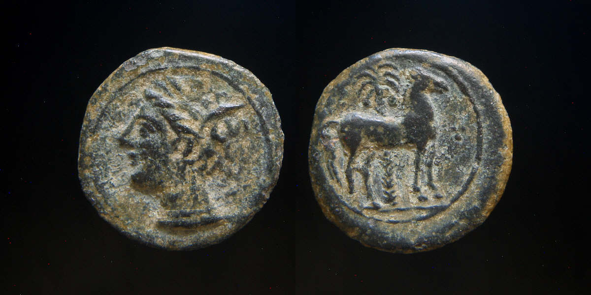 Carthage Horse Palm 3 dots.JPG