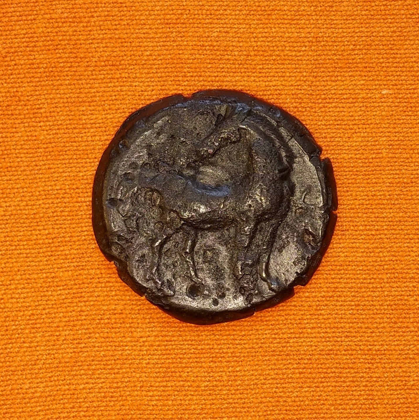 Carthage Shekel 250 BC Rev.jpg