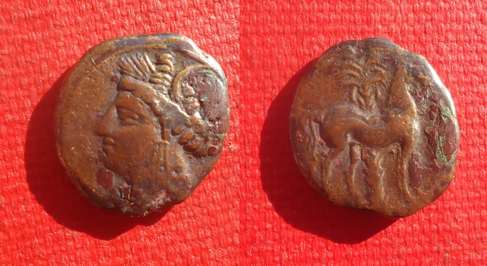 Carthage - Tanit & Horse Mar 2020 (0a).jpg