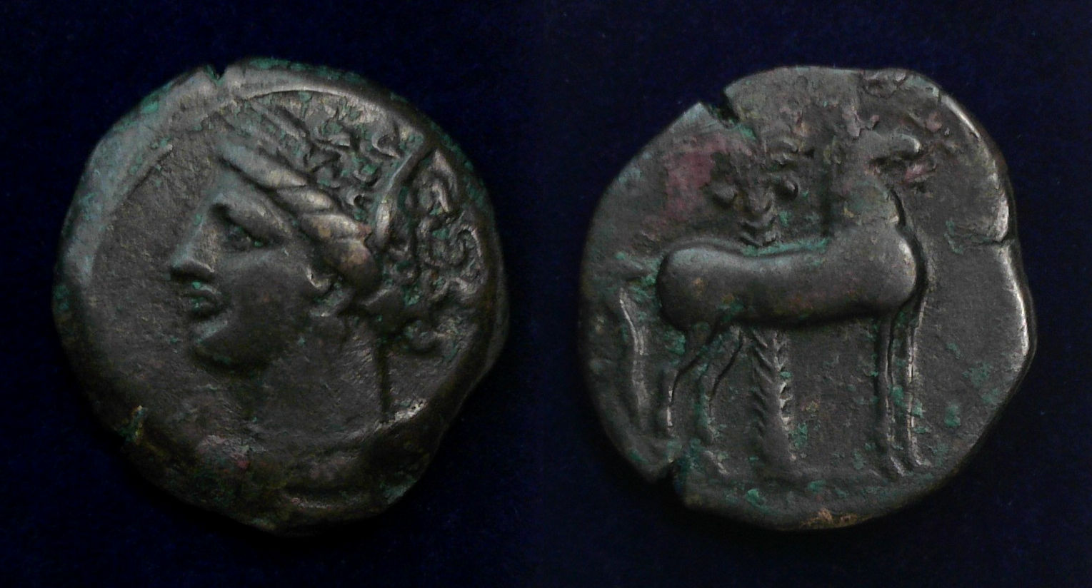 Carthage Tanit Horse2.jpg