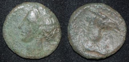 Carthage Zeugitana 250-200 BC 2nd Punic AE 18 Tanit Horse Hd O-R.jpg