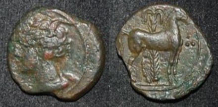 Carthage Zeugitana 400-350 BC AE 15 Tanit Horse std Palm 3 pellets Clipped.jpg