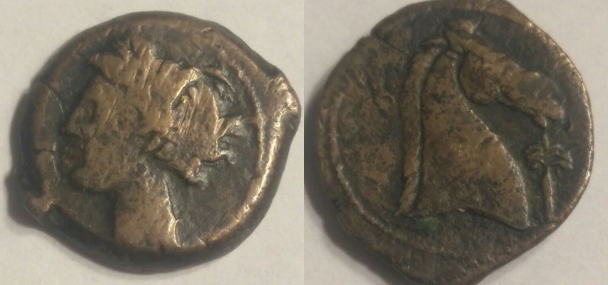 Carthage Zeugitana AE Shekel Tanit Horse Head Palm 18mm 4.8g sprues SNG Cop 175.jpg