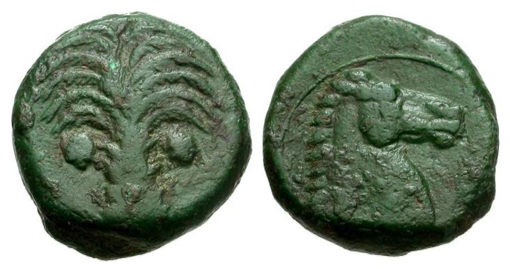 Carthage Zeugitania Æ17 6.1g 350-320 BCE Palm Tree Horse Head SNG Cop 102.JPG
