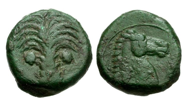 Carthage Zeugitania Æ17 6.1g 350-320 BCE Palm Tree Horse Head SNG Cop 102.JPG