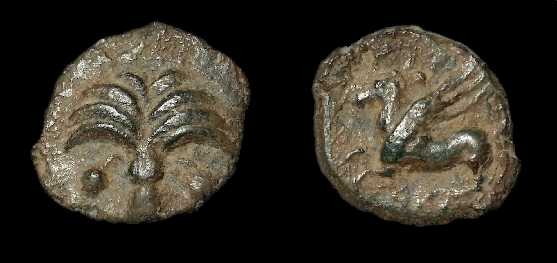 CarthagePegasi.jpg