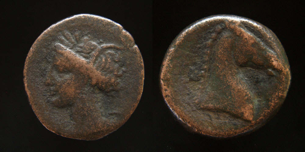 CarthageTanit head of horse.JPG