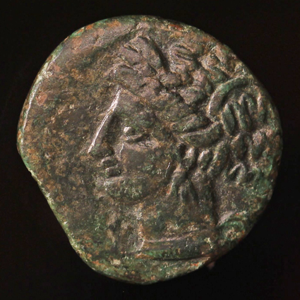 CarthageTanitHorse425O22_edited-1.jpg