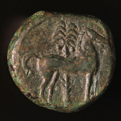 CarthageTanitHorse425R22_edited-1.jpg