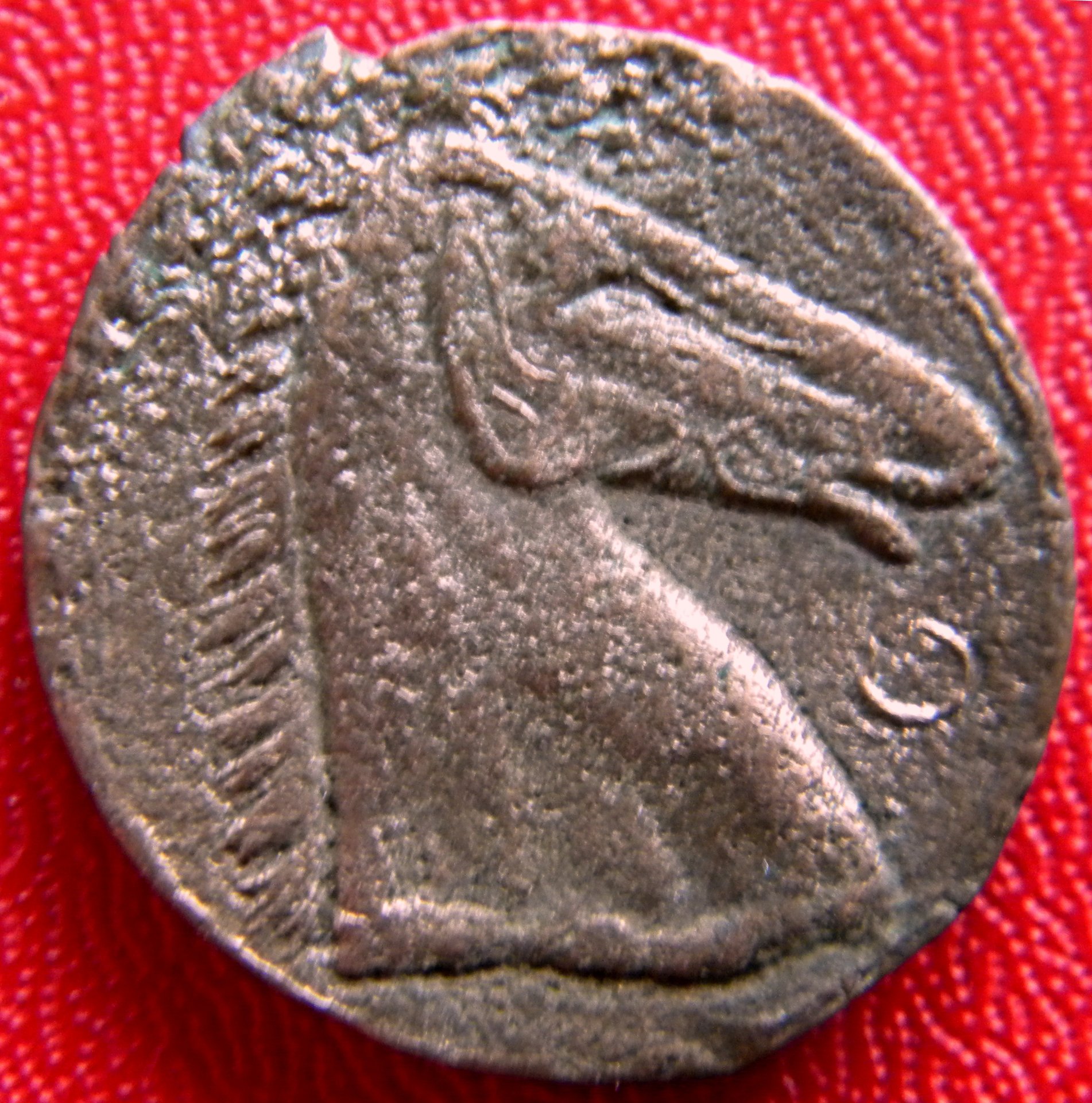 carthorse.jpg