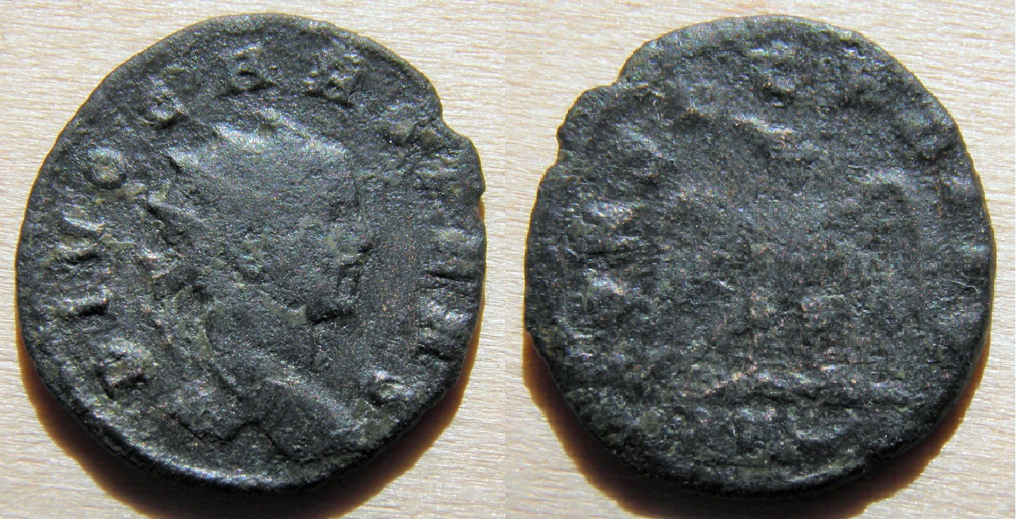 carus  (2).jpg