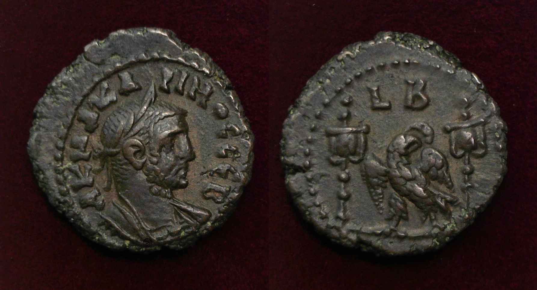Carus Alexandria Tet.jpg