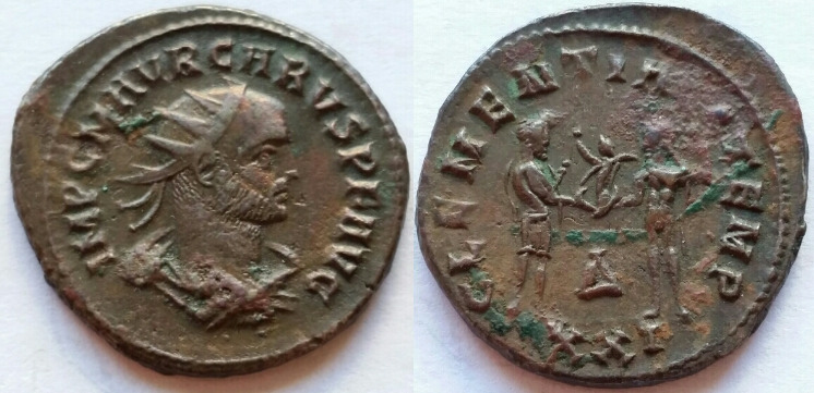 Carus Clementia Fel Temp.jpg