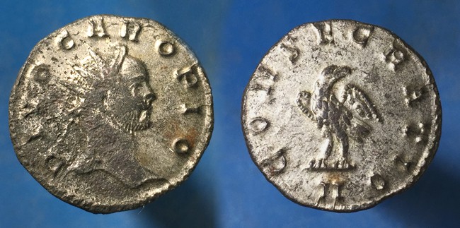 Carus.JPG