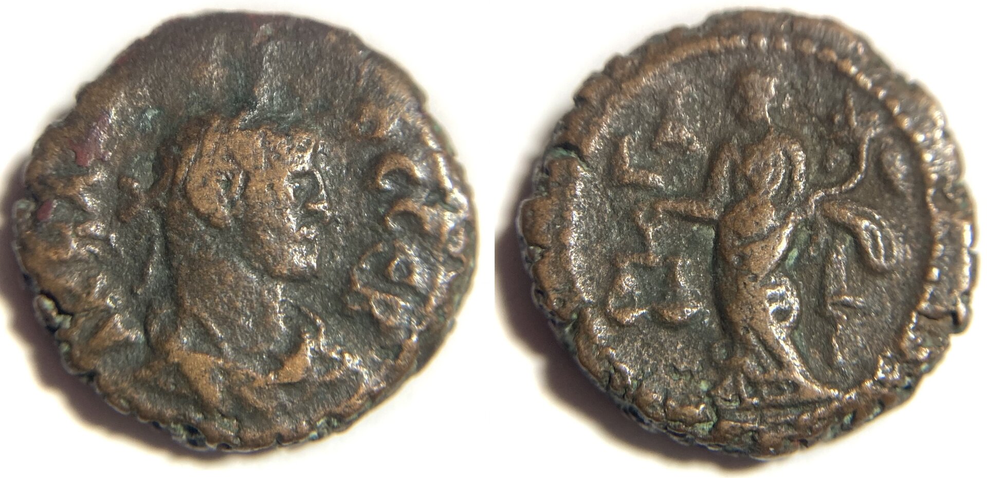 Carus Milne 4660.JPG