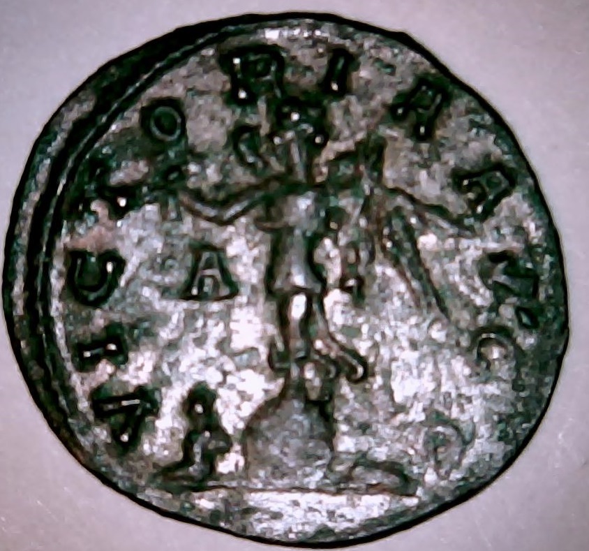 carus1 (2).jpg