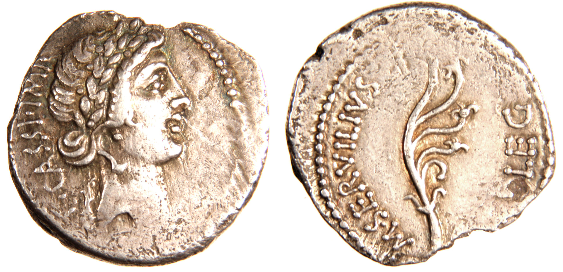 cassiusaplustrecombined.jpg