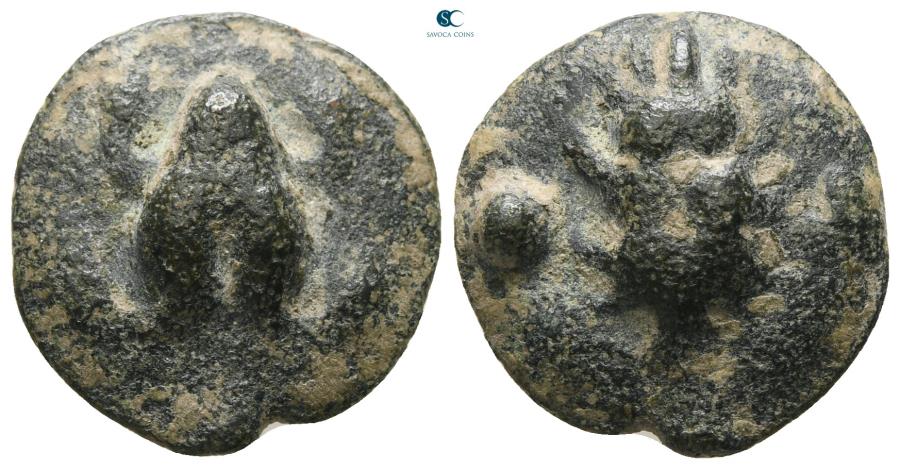Cast Unica Frog - Apulia.jpg