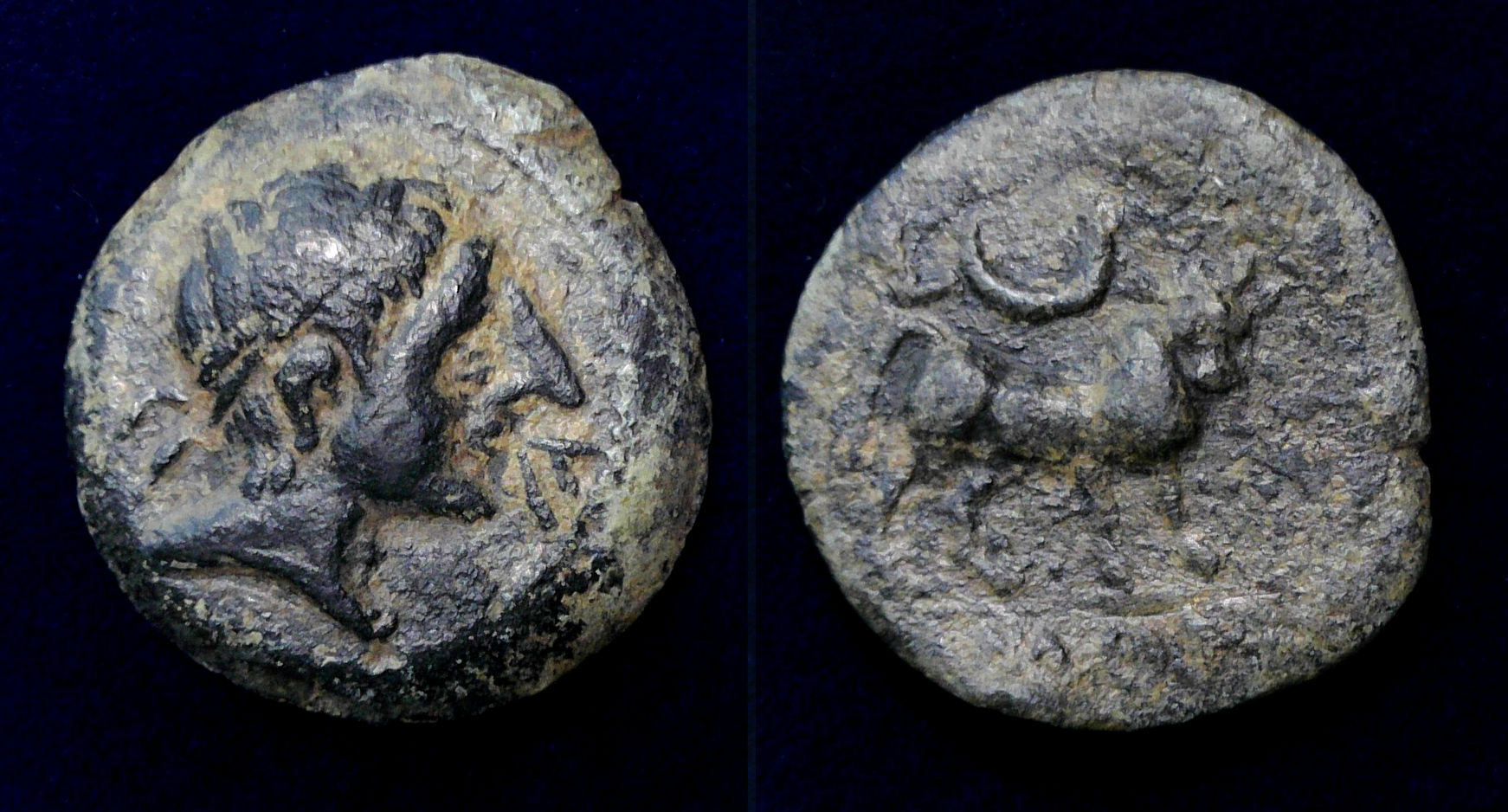 Castulo 214 BC Bull.jpg