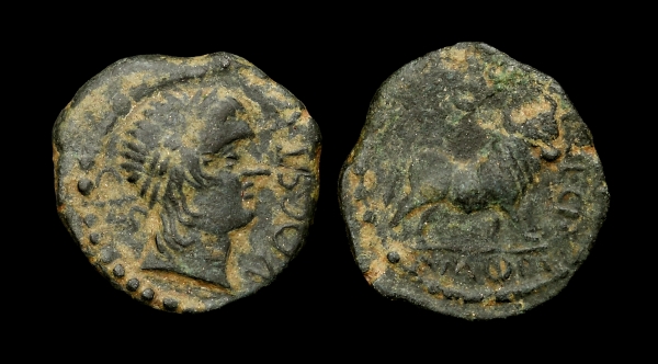 castulo 6.jpg