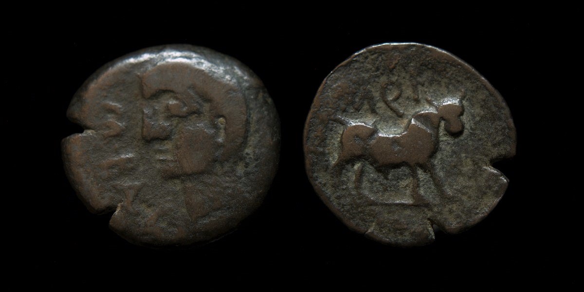 castulo bull roman.jpg